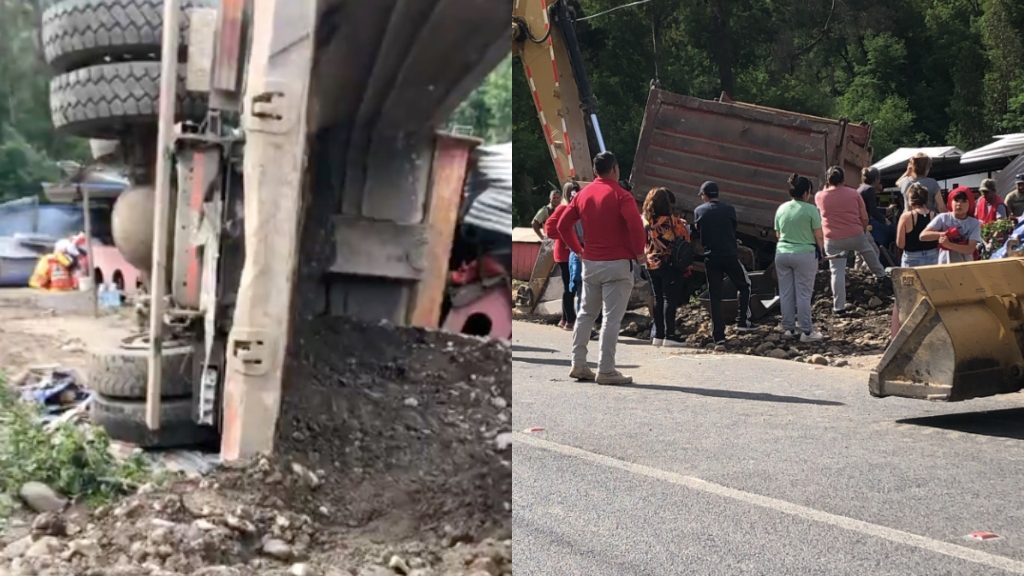 Fatal accidente de tránsito destruye refugio de perritos en Talca: conductor de camión perdió el control