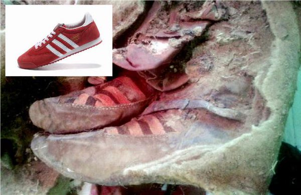 Delicioso por favor confirmar Ahora Científicos revelaron la causa de muerte de la milenaria momia "con  zapatillas Adidas"