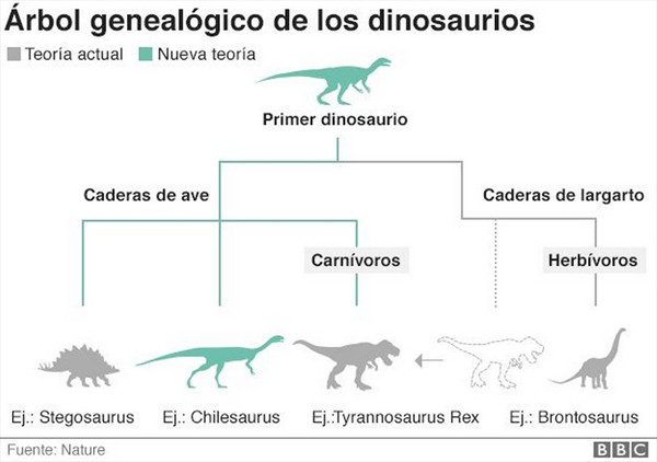 Científicos consideran al Chilesaurus como el descubrimiento paleontológico  del siglo